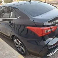 اریزو5fl تک برگ خونگی