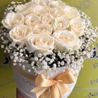 باکس گل رز هلندی دسته گل طبیعی شوک قیمت باورنکردنی|گل و گیاه طبیعی|مشهد, آزادشهر|دیوار