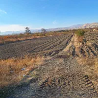 زمین کشاورزی جاده چناقلو|فروش زمین و ملک کلنگی|نوشین شهر, |دیوار