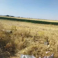 چاه عمیق کشاورزی اجاره ای|اجارهٔ دفتر صنعتی، کشاورزی، تجاری|دهگلان, |دیوار