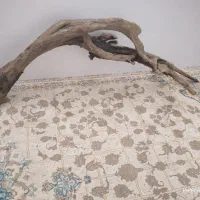 چوب آبنوس آکواریوم