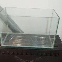یک عددآکواریوم
