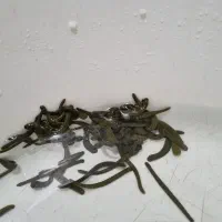 زالو طبی فول گیرا ۹ ماه قرنطینه