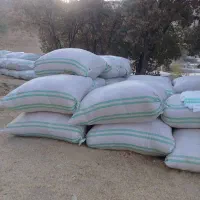 فروش کاه سفید و شبدر