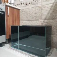 آکواریوم طرح ریملس|ماهی|بیرجند, |دیوار