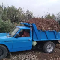 خاک باغچه پودری درجه۱