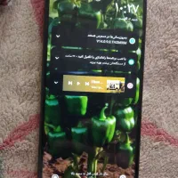 گوشی شیامی نوت 12S|موبایل|نی‌ریز, |دیوار
