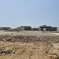 فروش زمین 276متری بندر ریگ|فروش زمین و ملک کلنگی|بندر گناوه, |دیوار