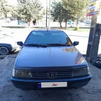 پژو دلفینی ۹۴|خودرو سواری و وانت|ایلام, |دیوار