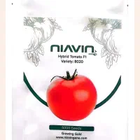 بذر گوجه فرنگی