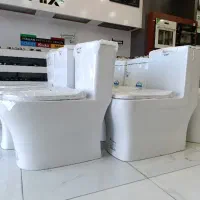 فرنگی چینی کورد