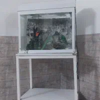 آکواریوم و گلدان