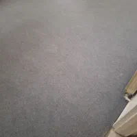 موکت نو
