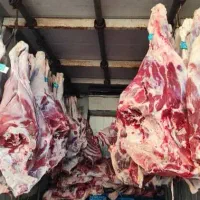 گوشت گرم گوساله و گوسفندی قلوه گاه فیله راسته