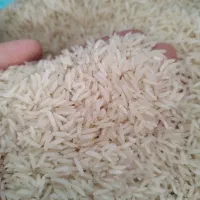 برنج صدری و دمسیاه و فجر گرگان «به شرط پخت»|خوردنی و آشامیدنی|زنجان, |دیوار