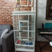 قفس کاسکو و طوطی سانان