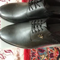 یک جفت کفش بامارک مدرن