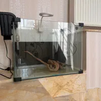 آکواریوم پلنت