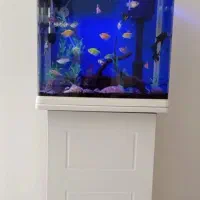 اکواریوم کامل