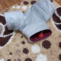 تونل بازی سگ و گربه