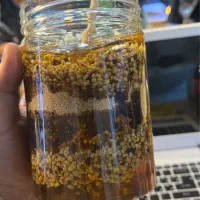 معجون ارگانو(تقویت جنسی و بارداری)|خوردنی و آشامیدنی|سهند, |دیوار