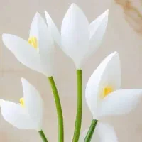 استخدام نیروی کار کافه رستوران