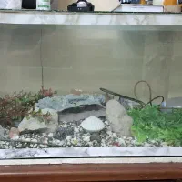 اکواریوم یک متری با لوازم