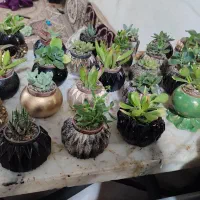 گلدان های کوچک مینیاتوری