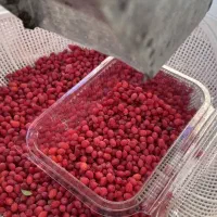 زرشک تازه تمیز شده واب زرشک صدردصد|خوردنی و آشامیدنی|شهرضا, |دیوار