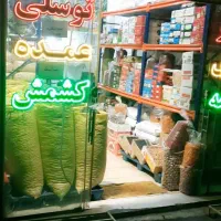 تخمه داغ و تازه