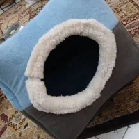 خانه گربه و سگ