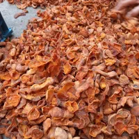 قیسی وشکه محلی  ترشه  تازه  ۱۵۰ هزار انواع خشکبار|عمده‌فروشی|سقز, |دیوار