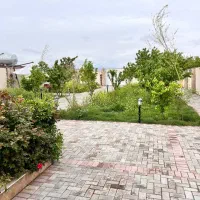 بازی طناب کشی و بادکنک و مافیاشطرنج