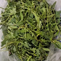 شومی پاک شده اعلا