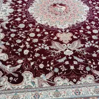 فرش دوازده متری|فرش|رستم‌آباد, |دیوار