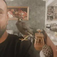 من شیش ماه گشتم تا یه جوجه پاکستانی اصل پیدا کنم