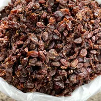 کشمش بیدانه فخری پلویی آفتابی عسگری حلوایی|خوردنی و آشامیدنی|کرج, باغستان|دیوار