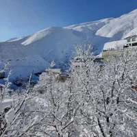 نگهداری از بیمار و امور منزل