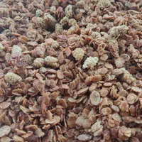 گرانولا|خوردنی و آشامیدنی|اصفهان, وحید|دیوار