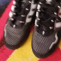 کفش آدیداس|کیف، کفش، کمربند|شیراز, امام حسین|دیوار