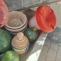 لوازم پرنده