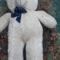 شاسخین ۱/۵۰متری