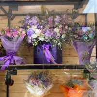 جشنواره رزطبیعی فقط شاخه ای ۲۰هزارانواع گلهاطبیعی|گل و گیاه طبیعی|کرج, گوهردشت|دیوار