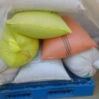 گندم آبی پیشگام مرغوب فروشی