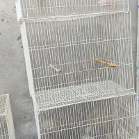 قفس پرنده مناسب قناری عروس هلندی و..|لوازم جانبی حیوانات|فردوس (خراسان), |دیوار