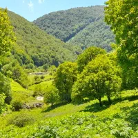 زمین-کشاورزی