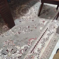 فرش ۶ متری|فرش|ارومیه, |دیوار