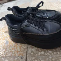 کفش در حد نو|کیف، کفش، کمربند|دوگنبدان, |دیوار