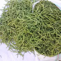 لوبیا چشم بلبلی لوبیا عربی|خوردنی و آشامیدنی|قم, یزدان‌شهر|دیوار