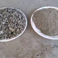 کودکفترپاک کرده تمیز